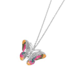 Papillon Pizzazz - Multi