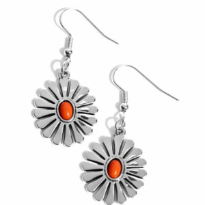 Delectably Daisy - Orange